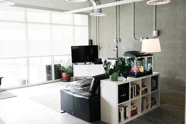 The couch, TV, and bookshelf facing a wall of windows in the Name.com office