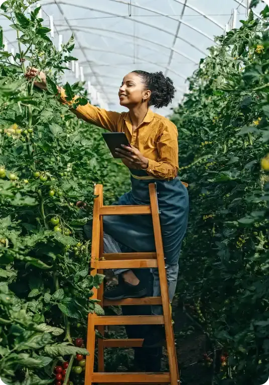 Woman on a ladder tending to her garden center